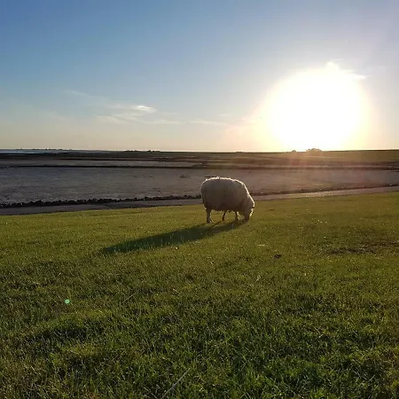 256 Sankt Peter-Ording