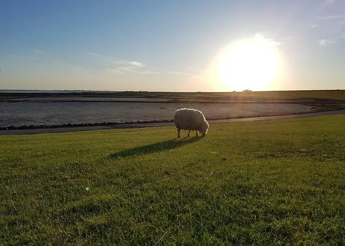 256 Sankt Peter-Ording